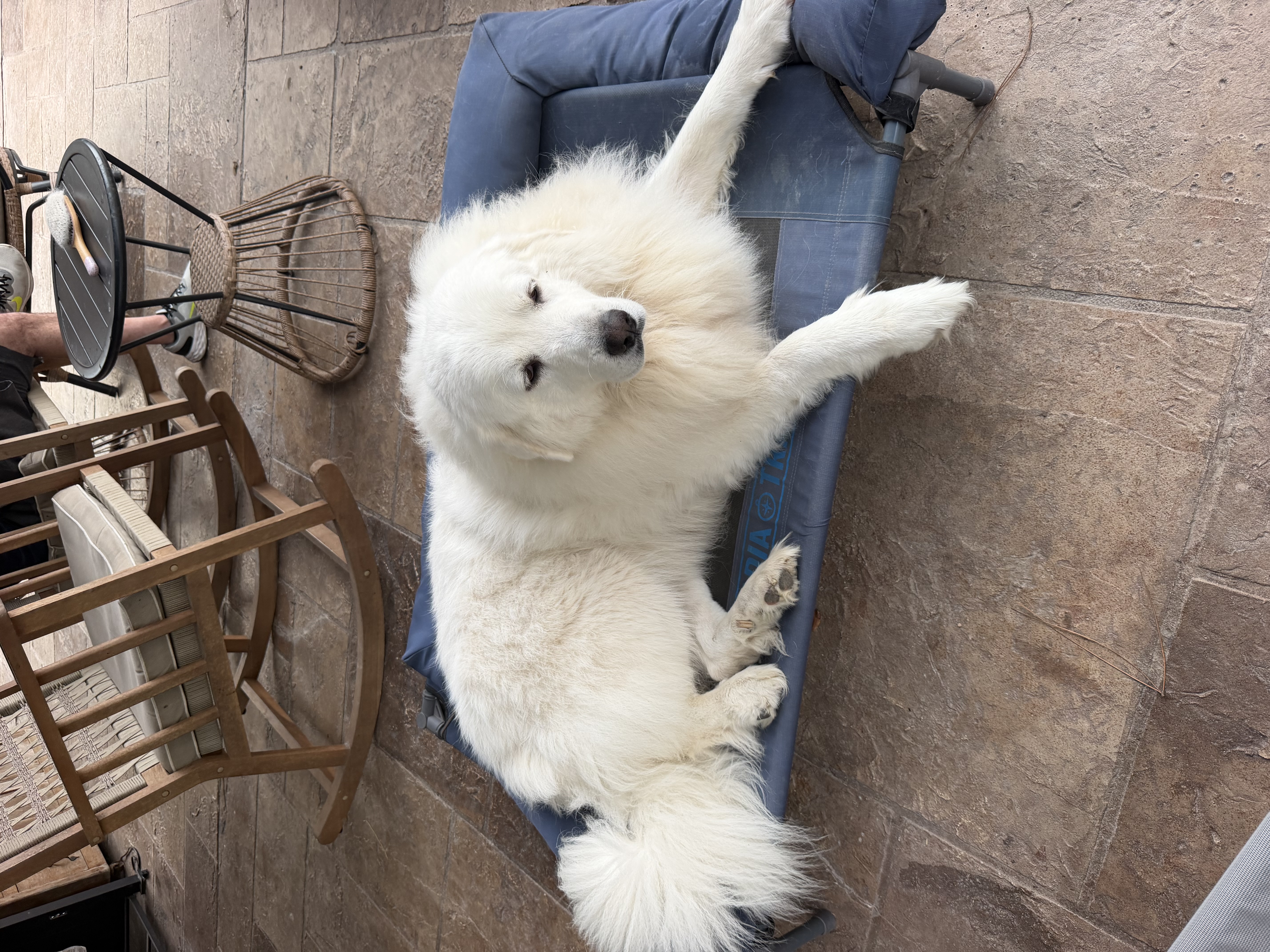 Lumi